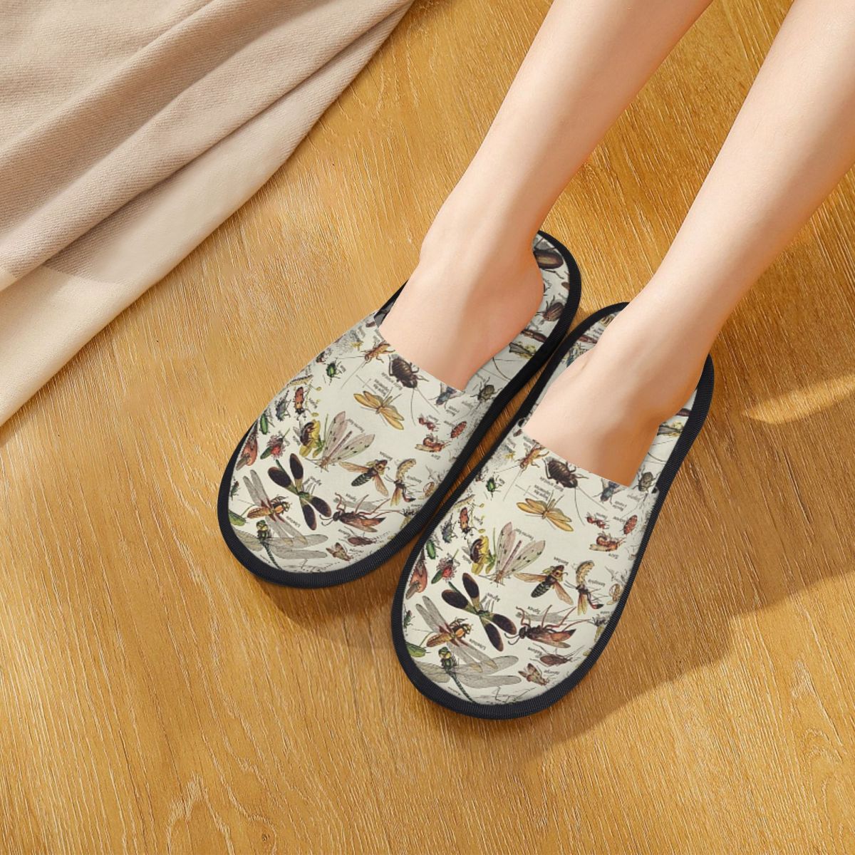 Shoes Women Chart - Böcekler Tablosu. Bilimsel İllüstrasyon, Fransızca Metin,